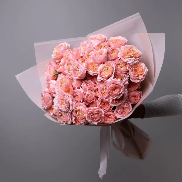 Peony Rose Aurora