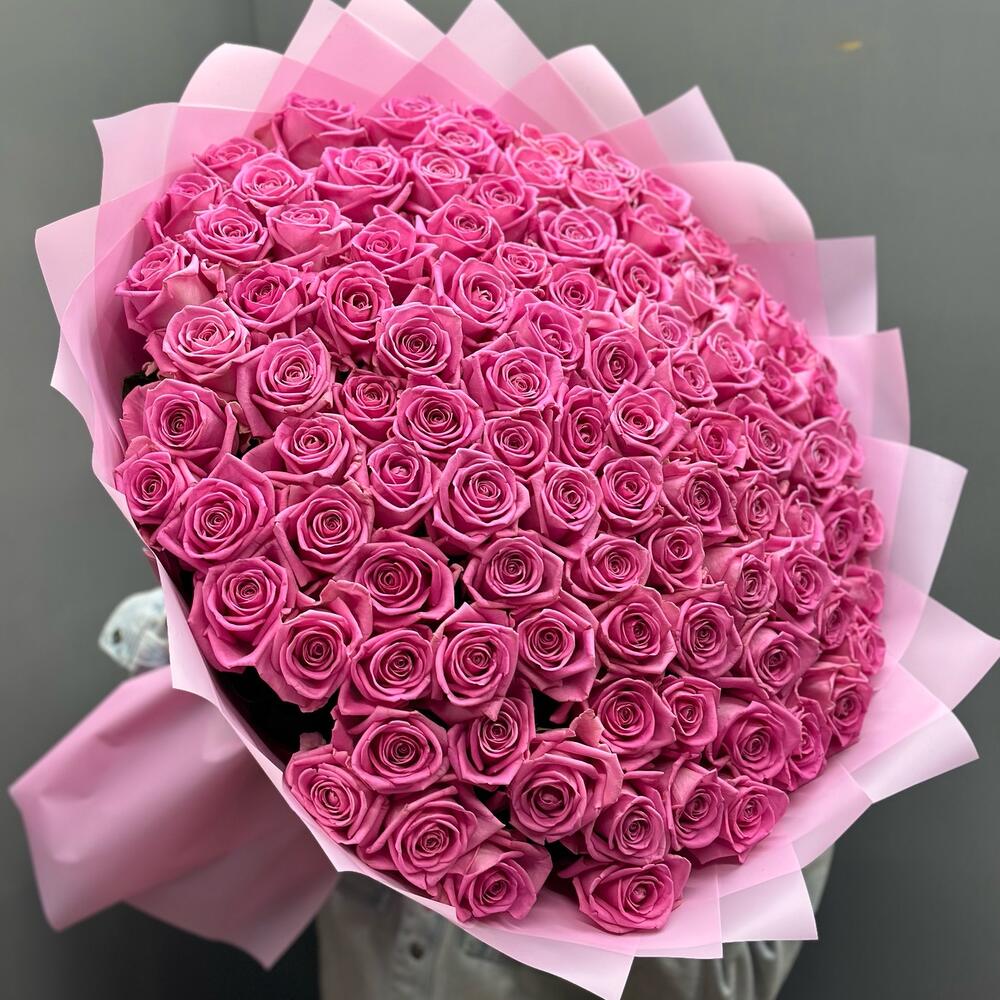 Pink Reverie 100
