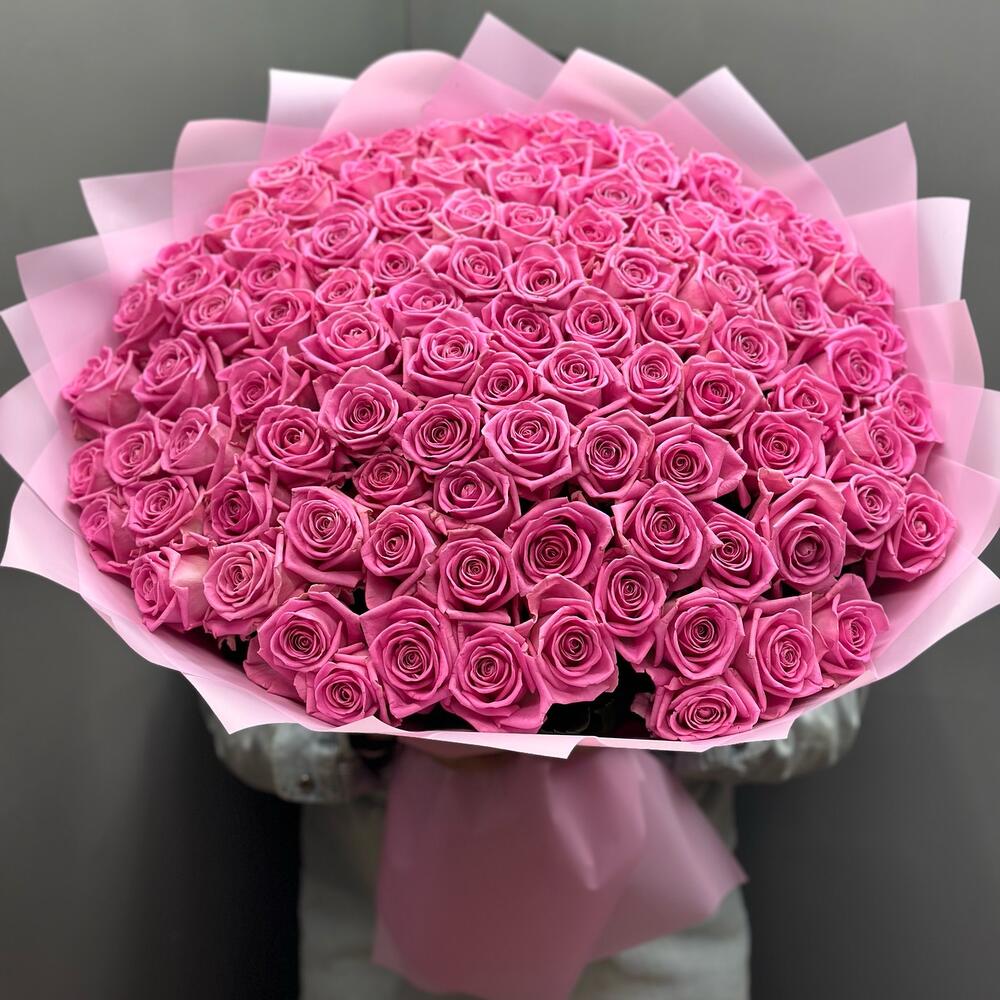 Pink Reverie 100
